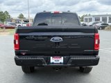 Used 2023 Ford F150 XLT w/ Equipment Group 302A High image 4