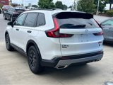 New 2026 Honda CR-V TrailSport image 3