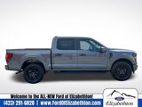 New 2025 Ford F150 STX w/ STX Black Appearance Package image 2