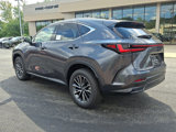 New 2026 Lexus NX 350 AWD w/ Premium Package image 4