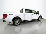 New 2025 Ford F150 XLT image 6