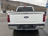 New 2025 Ford F150 XLT w/ Equipment Group 302A MID image 6
