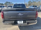 New 2024 Ford F150 XL w/ Equipment Group 103A High image 6