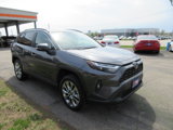 Used 2024 Toyota RAV4 XLE Premium w/ Weather Package image 5