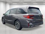 New 2026 Honda Odyssey EX-L image 2