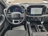 New 2025 Ford F150 XLT w/ Equipment Group 302A MID image 3