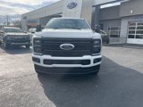 New 2025 Ford F250 Platinum image 3