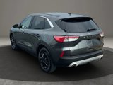 Used 2020 Ford Escape SE image 5