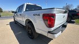 New 2025 Ford F150 STX w/ STX Black Appearance Package image 4