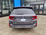 New 2025 Honda Odyssey Elite image 6