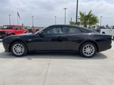 New 2025 Dodge Charger R/T w/ Quick Order Package 25M R/T image 4