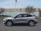 New 2025 Ford Escape ST-Line w/ Cold Weather Package image 3