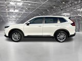New 2025 Honda CR-V EX image 5