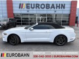 Used 2020 Ford Mustang Premium image 2