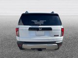 New 2026 Honda Passport TrailSport image 4