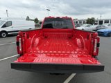New 2025 Ford F250 XL w/ 360-Degree Camera Package image 5