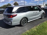 New 2025 Honda Odyssey Elite image 3