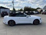 Used 2022 Ford Mustang Premium image 6