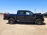 New 2025 Ford F150 Tremor w/ Bed Utility Package image 4