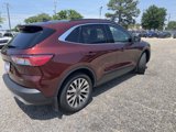 Used 2021 Ford Escape Titanium image 4