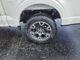 New 2025 Ford F150 STX w/ Equipment Group 200A image 5