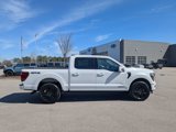 New 2025 Ford F150 Platinum image 6