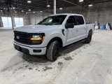 Used 2024 Ford F150 XLT image 3