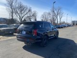 New 2025 Hyundai Palisade Calligraphy image 3