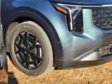 New 2025 Kia Carnival SX Prestige image 3