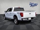 New 2025 Ford F150 XLT w/ Equipment Group 302A MID image 6