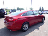 Used 2015 Hyundai Sonata SE image 6