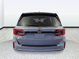 New 2026 Honda Odyssey Elite image 4