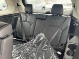 New 2025 Honda Pilot EX-L image 4
