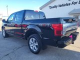 Used 2020 Ford F150 Platinum w/ Equipment Group 701A Luxury image 4