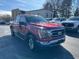 Used 2022 Ford F150 XLT w/ Equipment Group 302A High image 3