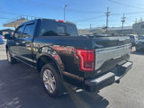 Used 2015 Ford F150 Platinum w/ Equipment Group 701A Luxury image 5