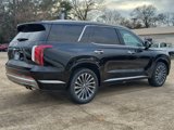 New 2025 Hyundai Palisade Calligraphy image 4