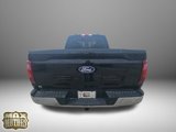 New 2025 Ford F150 XLT w/ Equipment Group 302A MID image 6