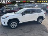 Used 2024 Toyota RAV4 LE image 4