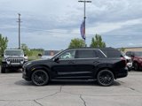 New 2025 Hyundai Palisade Calligraphy image 4