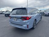 New 2025 Honda Odyssey Elite image 5