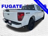 New 2025 Ford F150 XLT w/ Equipment Group 301A Standard image 5