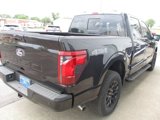 New 2025 Ford F150 XLT image 5
