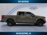 New 2025 Ford F150 STX w/ Equipment Group 201A FX4 image 6