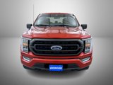 Used 2023 Ford F150 XLT w/ Equipment Group 302A High image 2
