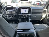 New 2025 Ford F150 XLT w/ Equipment Group 303A High image 2