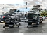 New 2025 Ford Expedition Platinum image 2