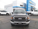 Used 2021 Ford F150 XLT w/ Equipment Group 302A High image 2