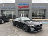 Used 2022 Ford Mustang Premium image 1
