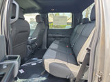 New 2025 Ford F150 STX w/ Equipment Group 200A image 6